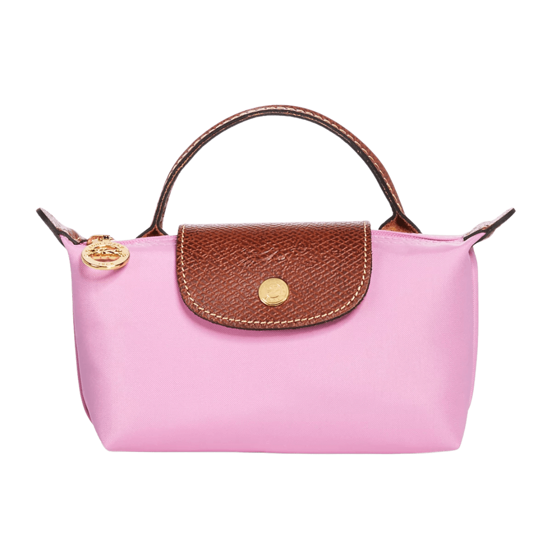 Long Champ Le Pliage Pouch