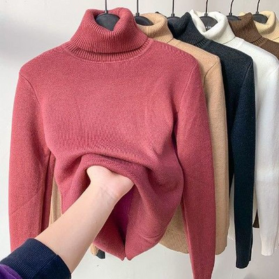 Isabelle | Turtleneck with Fleece Lining